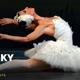 Gran Gala Tchaikovsky. Ballet Clásico de Ucrania