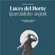 Orquesta Sinfónica de Navarra | Luces del Norte