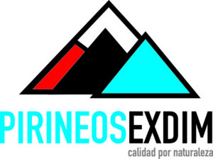 Logo pirineos exdim